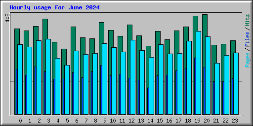 Hourly usage for June 2024