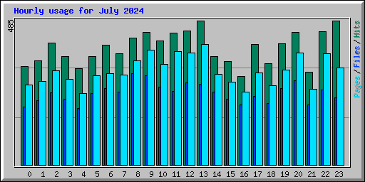 Hourly usage for July 2024